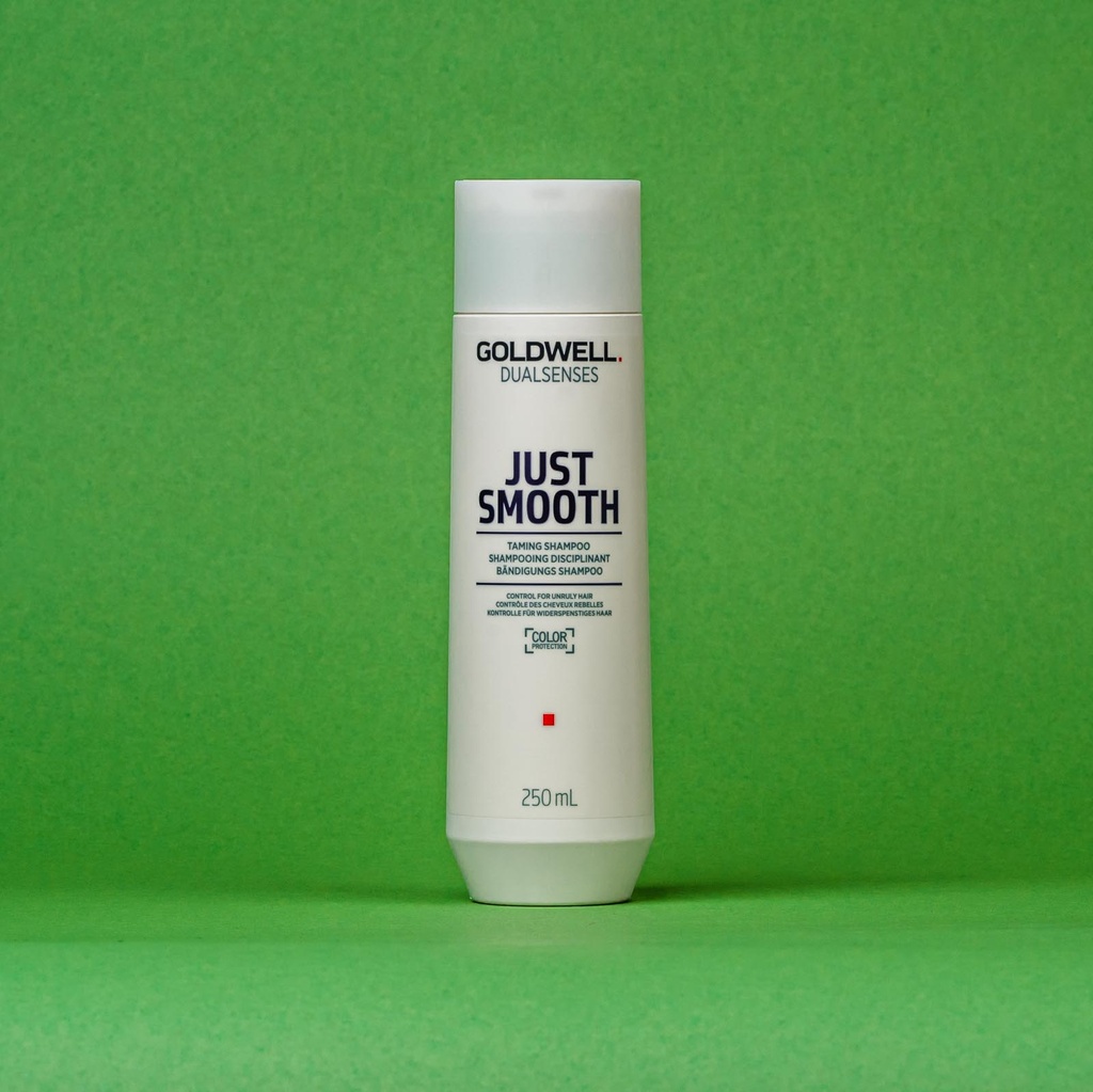[202889] Goldwell Dualsenses Just Smooth Tamming Shampoo 250ml